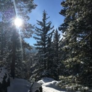 Meet your Posher, Posh